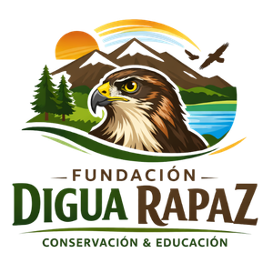 Fundación Digua Rapaz